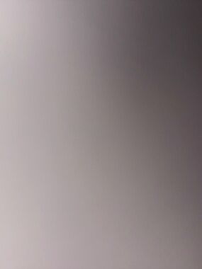 Meet your Posher, Zoey